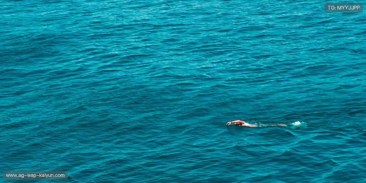 👟 专业装备,个性设计,